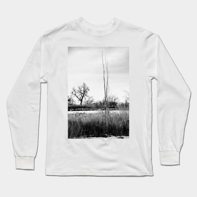 Cherry Creek Winter Study 1 Long Sleeve T-Shirt by bobmeyers